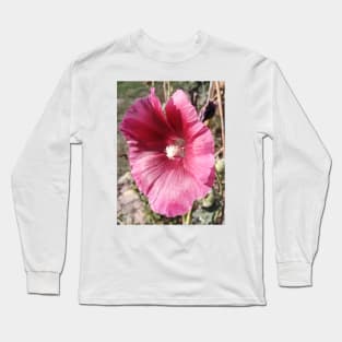 Hollyhock - Alcea rosea Long Sleeve T-Shirt